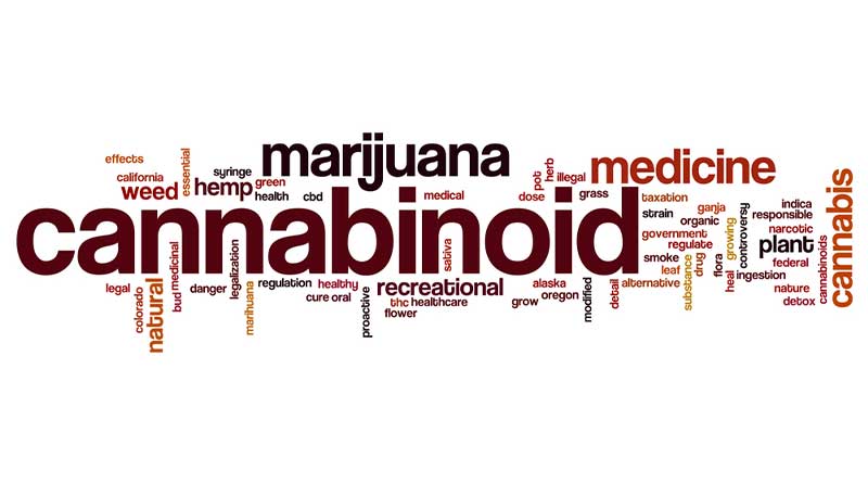 Getting to Know Your Cannabinoids – round up