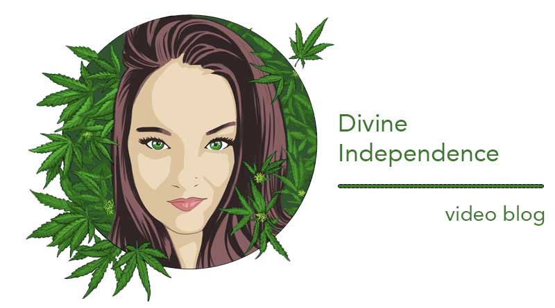 Divine Independence Ep 8