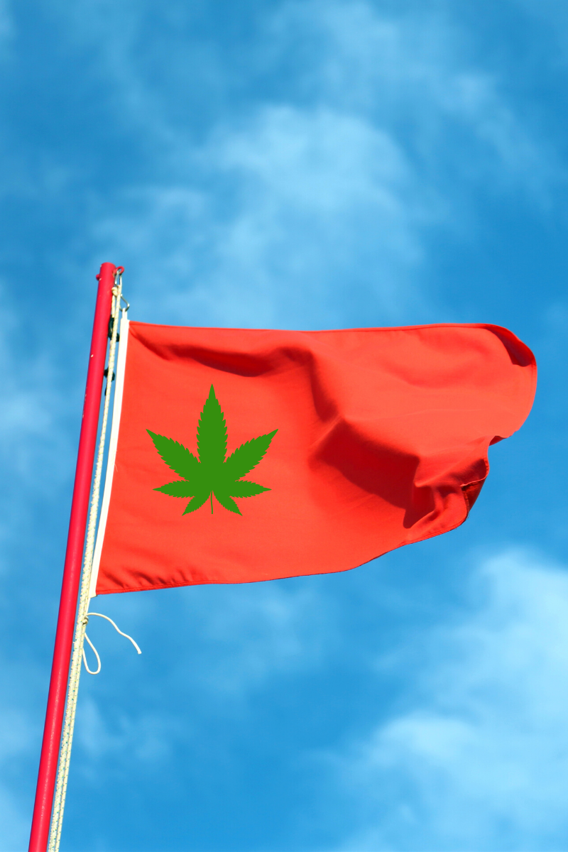 Red Flags it Might be Time to Find a New Dispensary