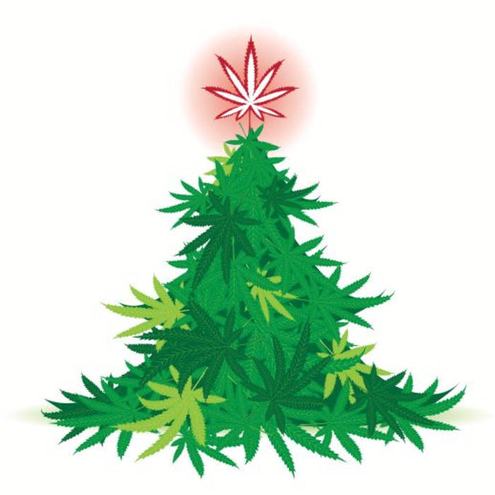 Strains That Will Help You Get Through Holiday Shopping