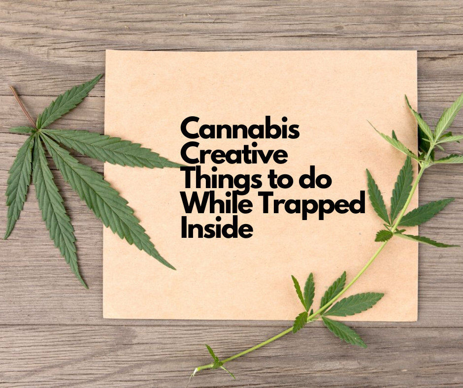 5 Cannabis Creative things to do While Trapped Inside