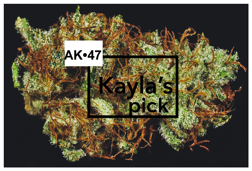 Kayla’s Pick – AK-47