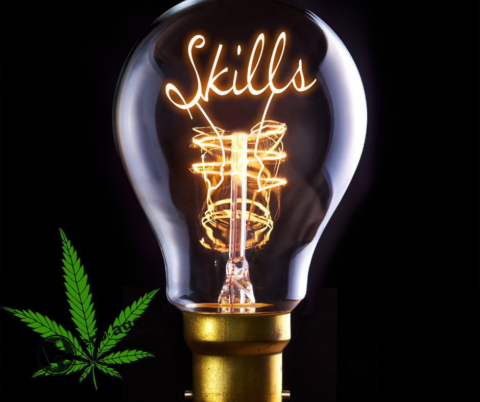 Can You Adapt Your Cannabis Industry Skills for Your Next Career Move?