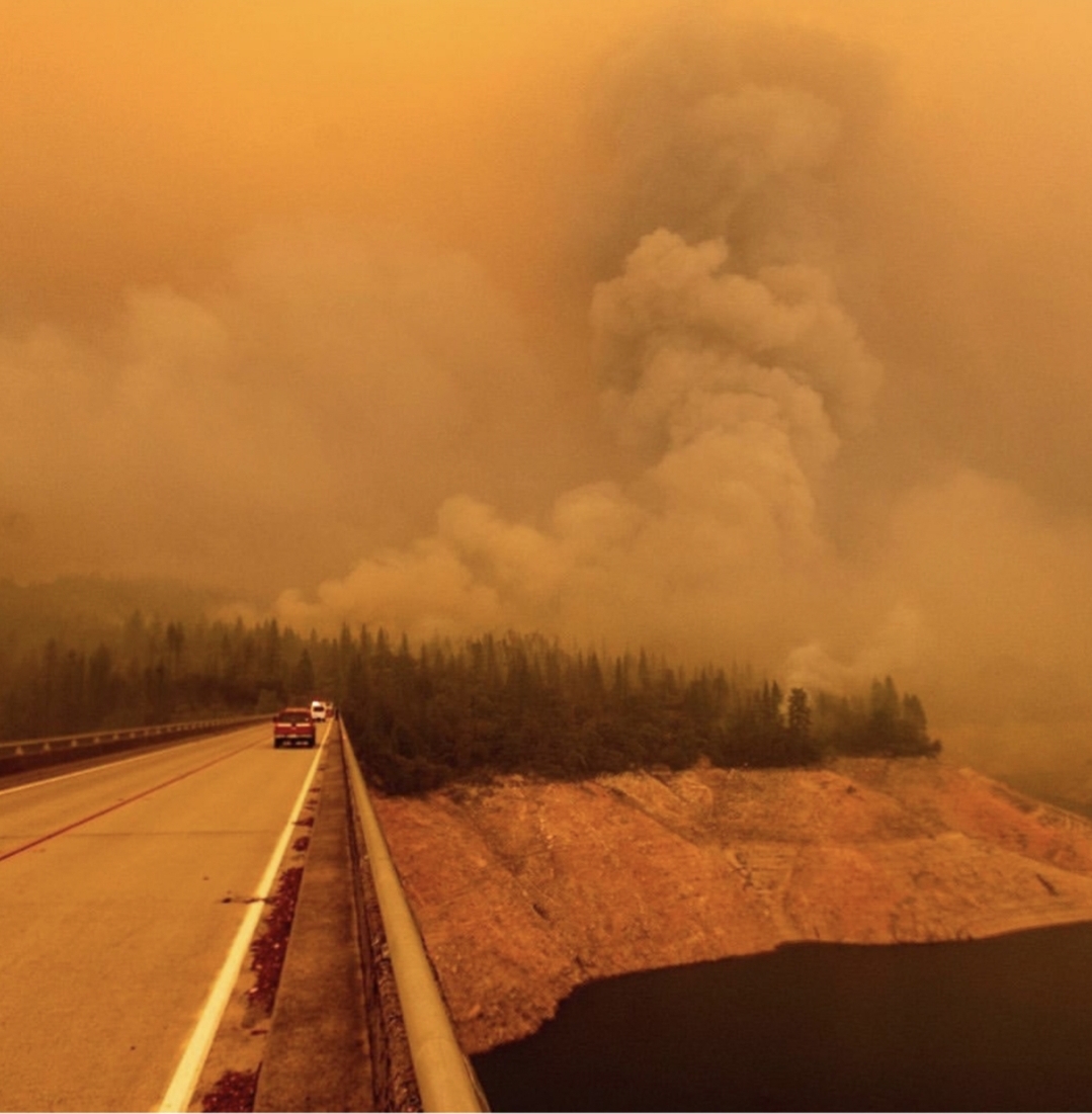 Light and Love for the West Coast- Oregon Wild Fires During a Pandemic