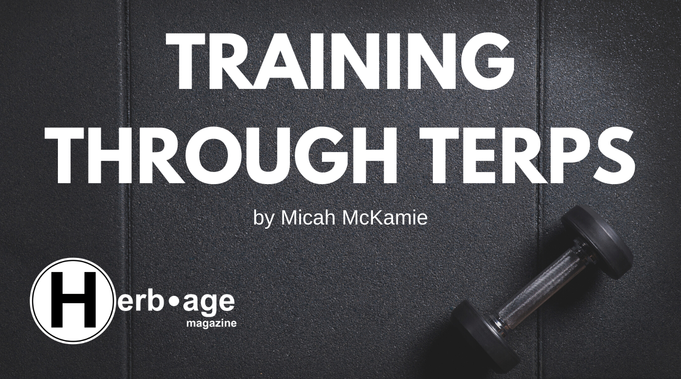Training through Terps
