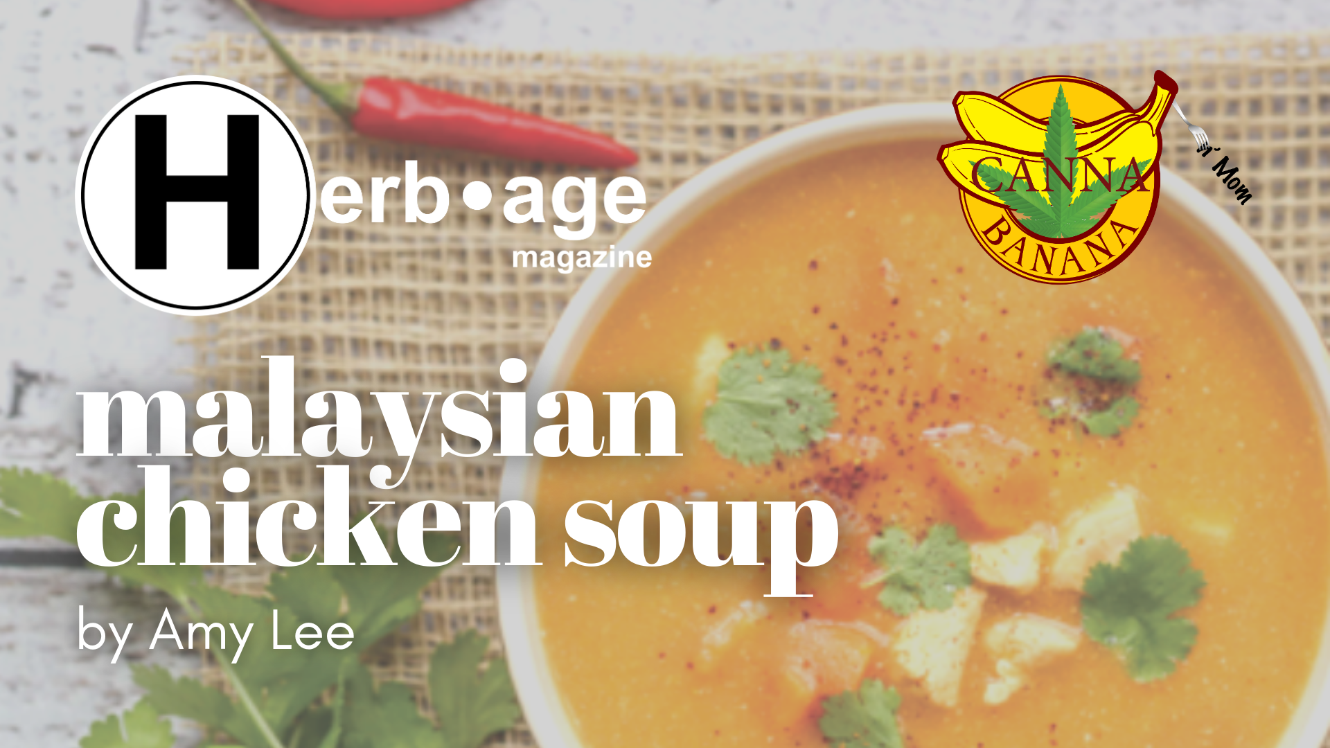 Malaysian Chicken Soup