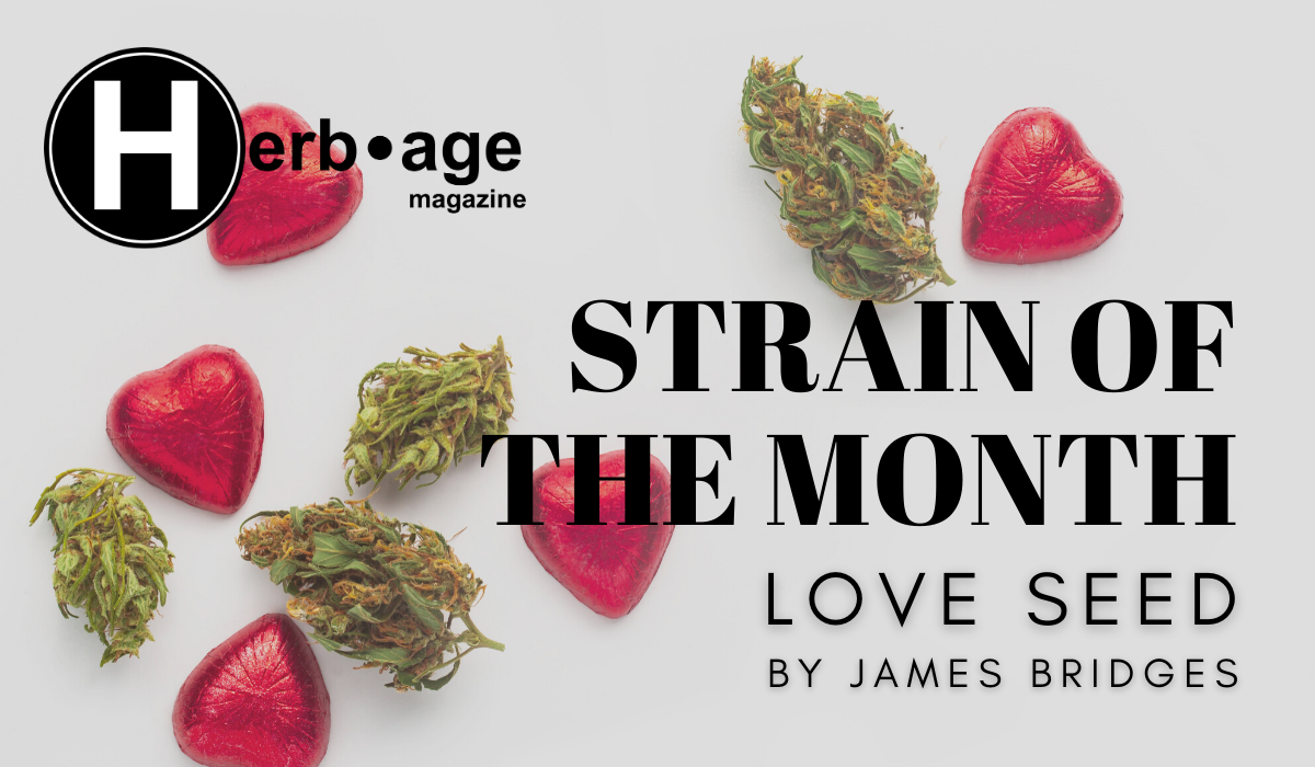 Strain of the Month