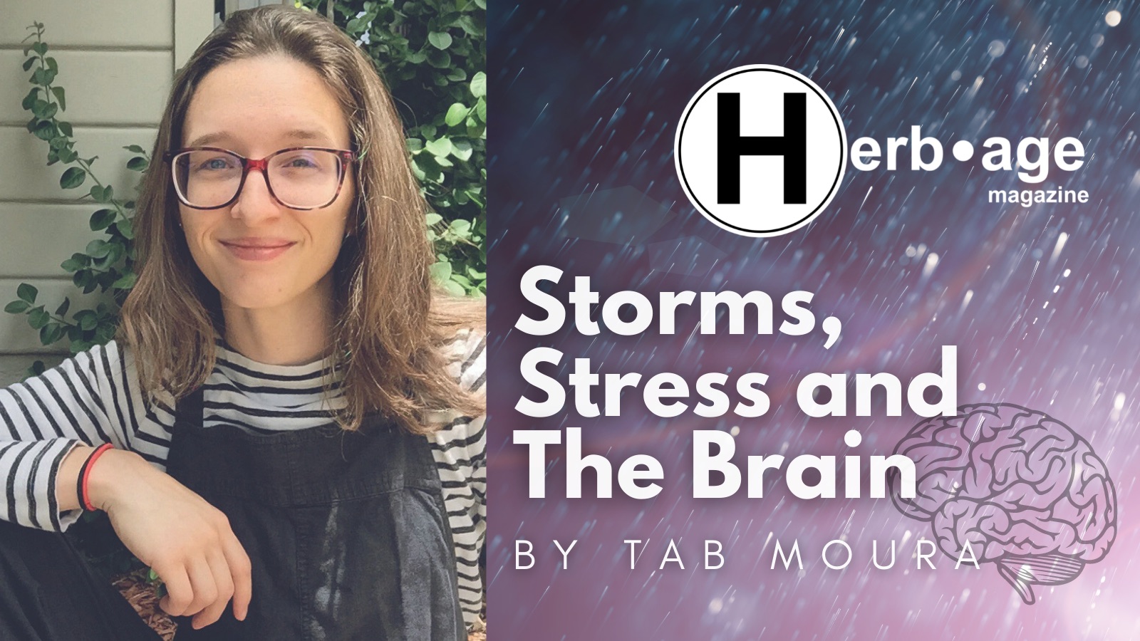 Storms, Stress and The Brain