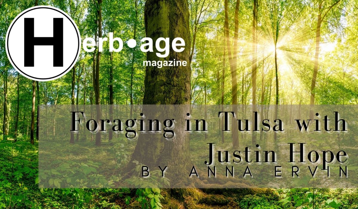 Foraging in Tulsa with Justin Hope
