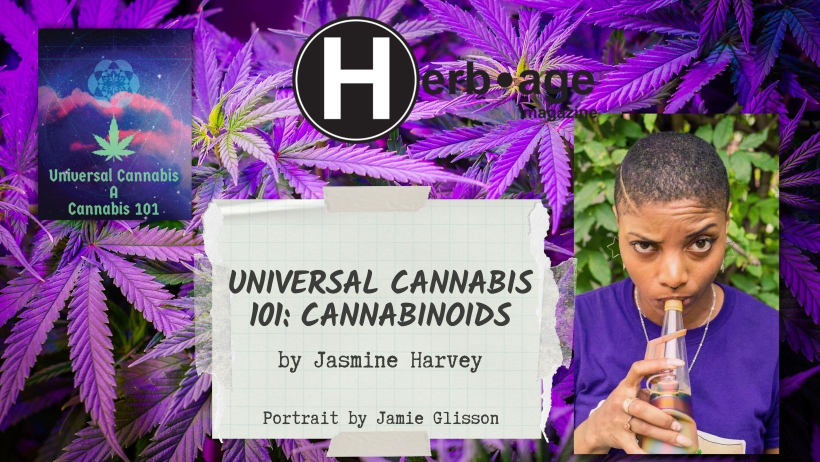 Universal Cannabis 101: Cannabinoids 