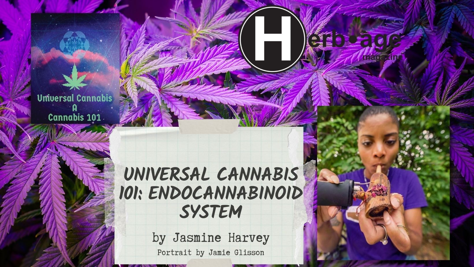 Universal Cannabis 101  – Endocannabinoid System 