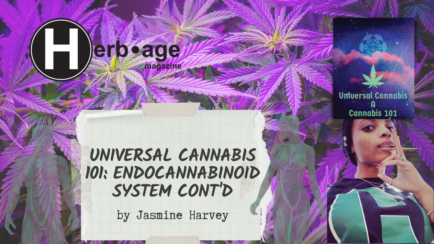 Universal Cannabis 101  – Endocannabinoid System, cont’d