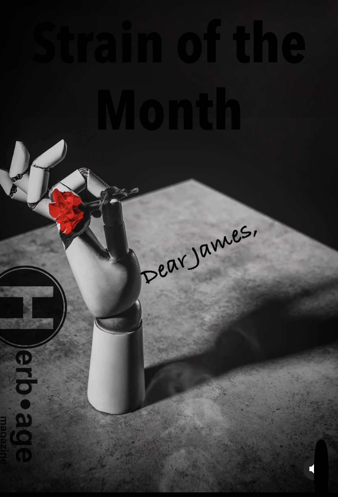 Strain of Month – Dear James