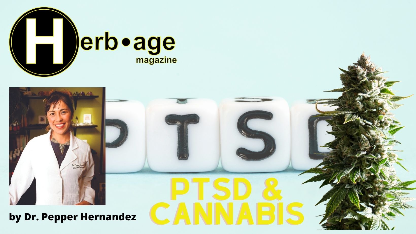 PTSD & Cannabis
