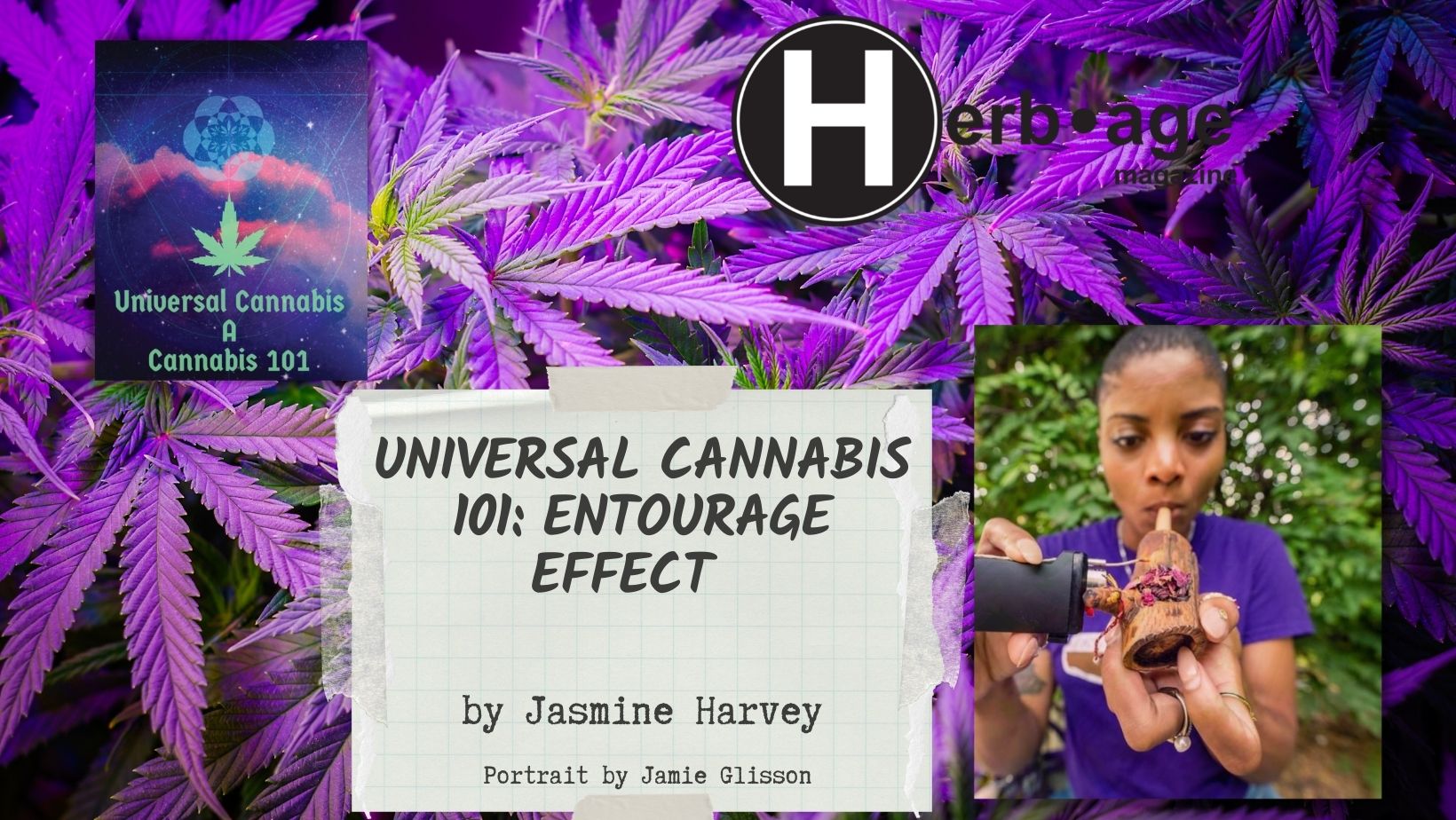 Universal Cannabis 101: Entourage Effect  