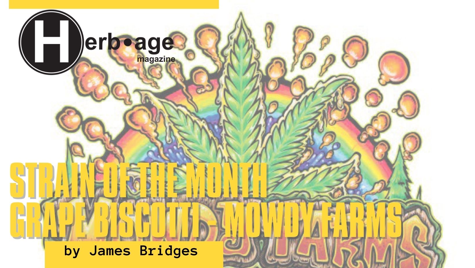 Strain Of The Month Grape Biscotti – Mowdy Farms
