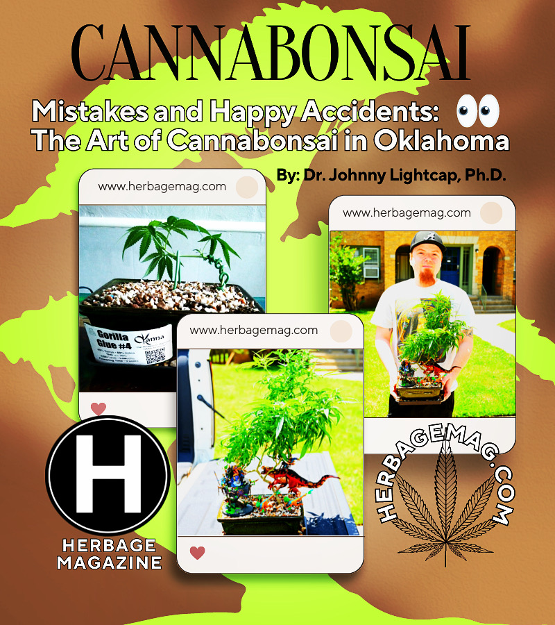 Mistakes & Happy Accidents: The Art of Cannabonsai in Oklahoma