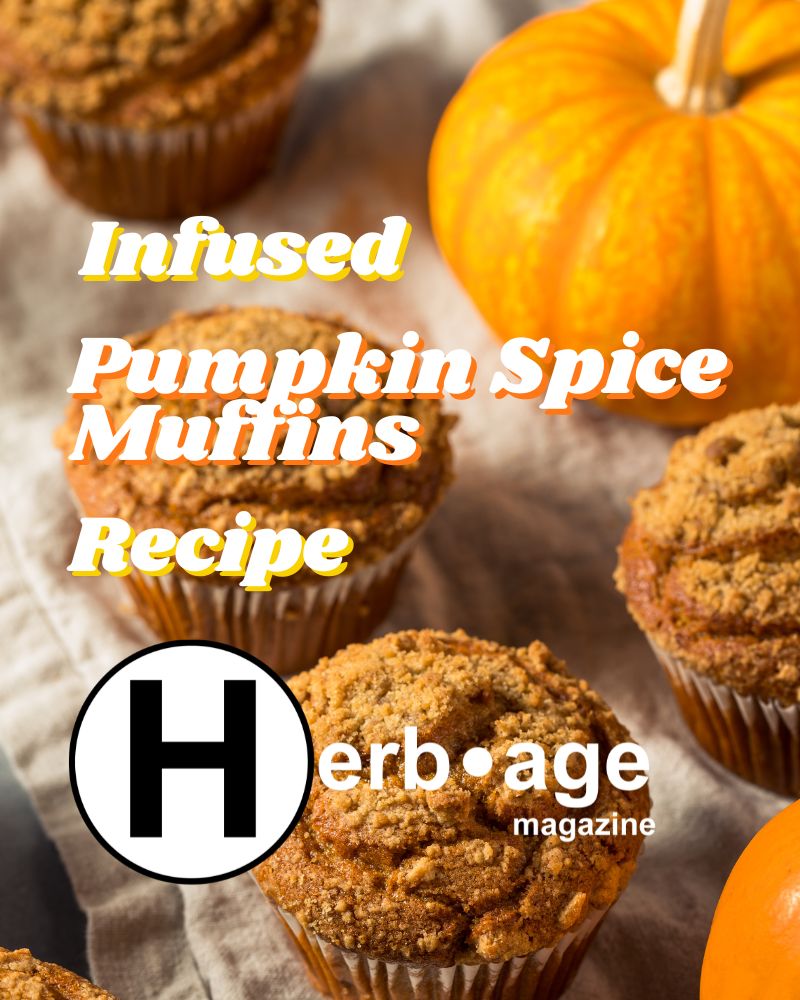 Infused Pumpkin Spice Muffins