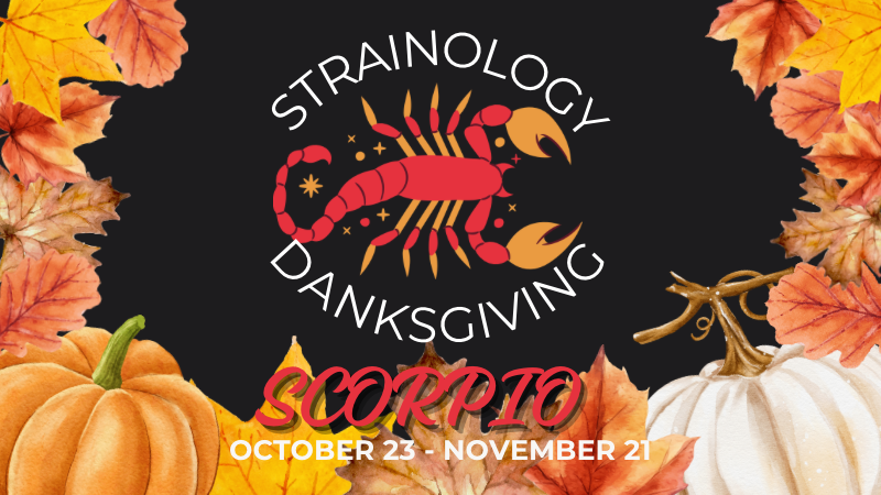 Strainology Danksgiving: Scorpio Season