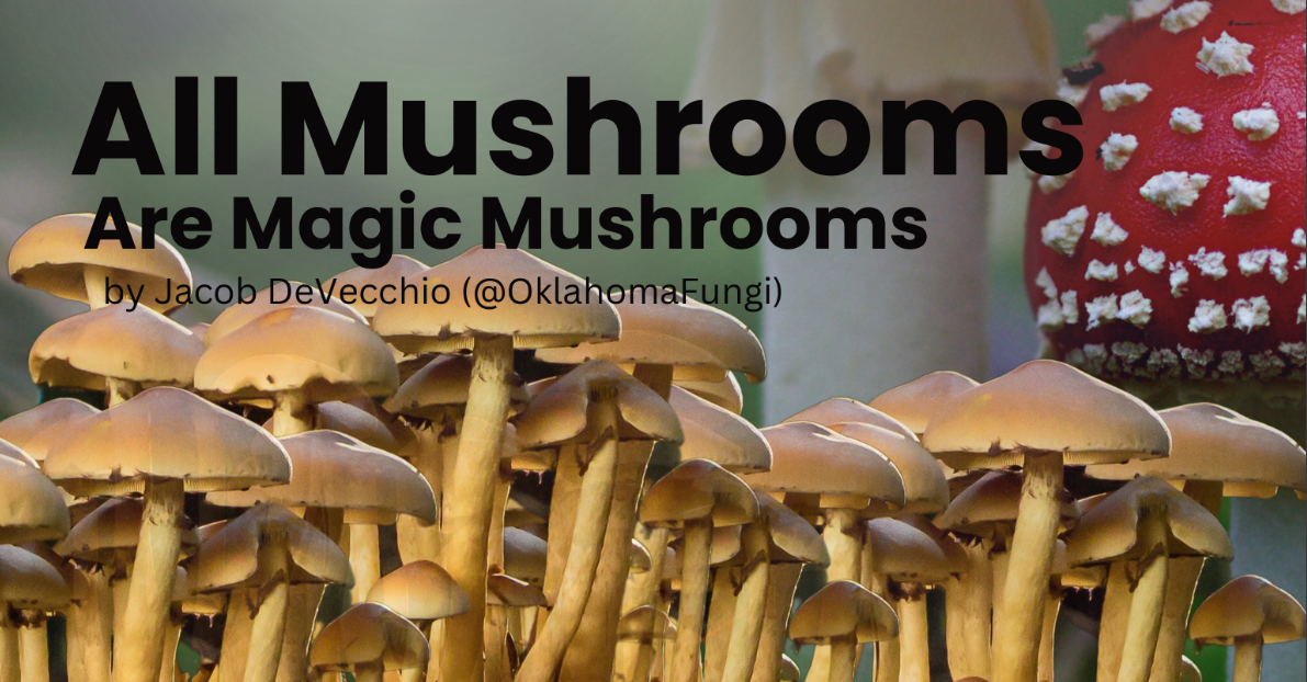 All Mushrooms are Magic Mushrooms